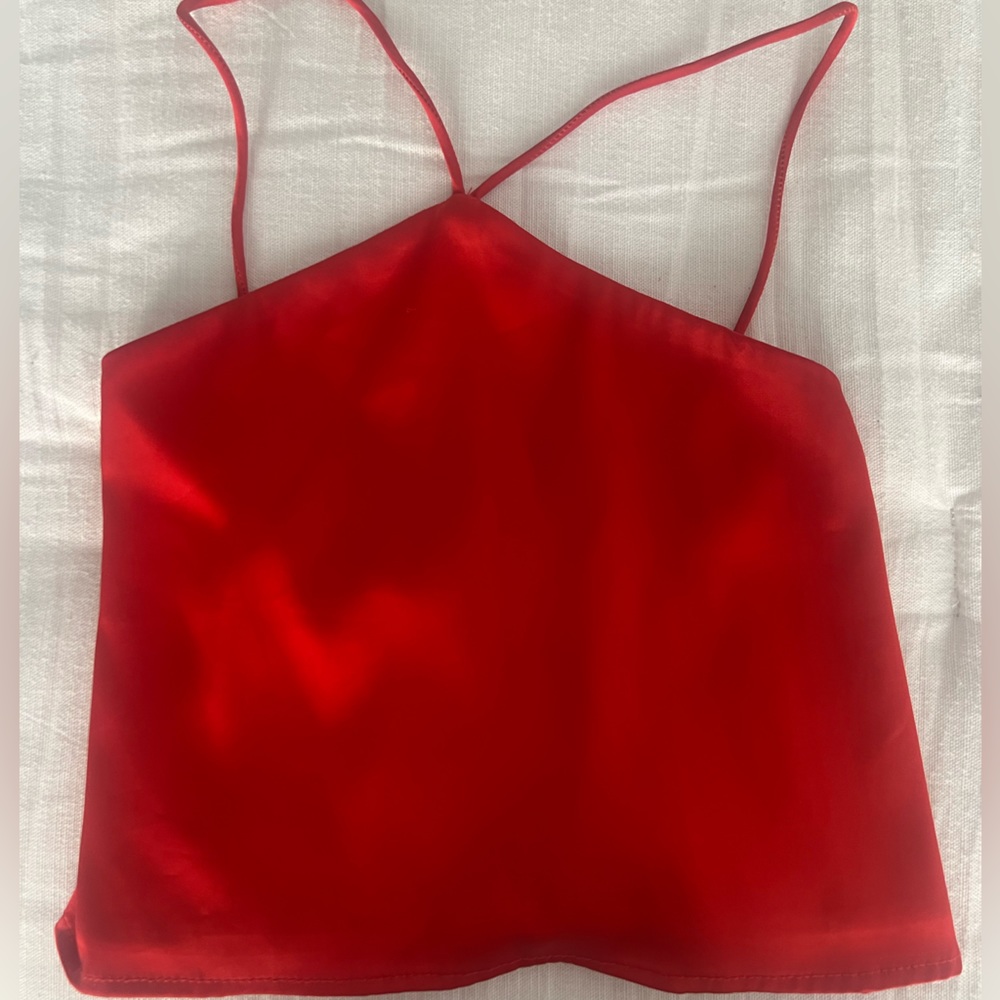 Revolve (by the way) cropped red silk top